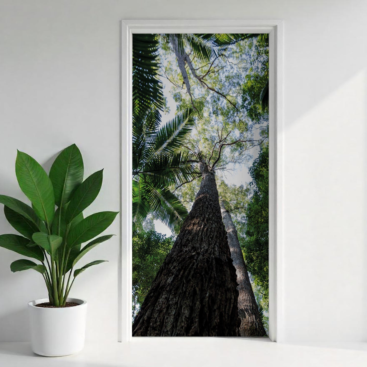 Türfolie Selbstklebend nach maß