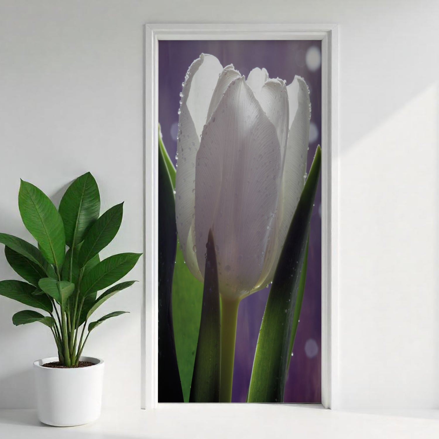 Türfolie Selbstklebend nach maß