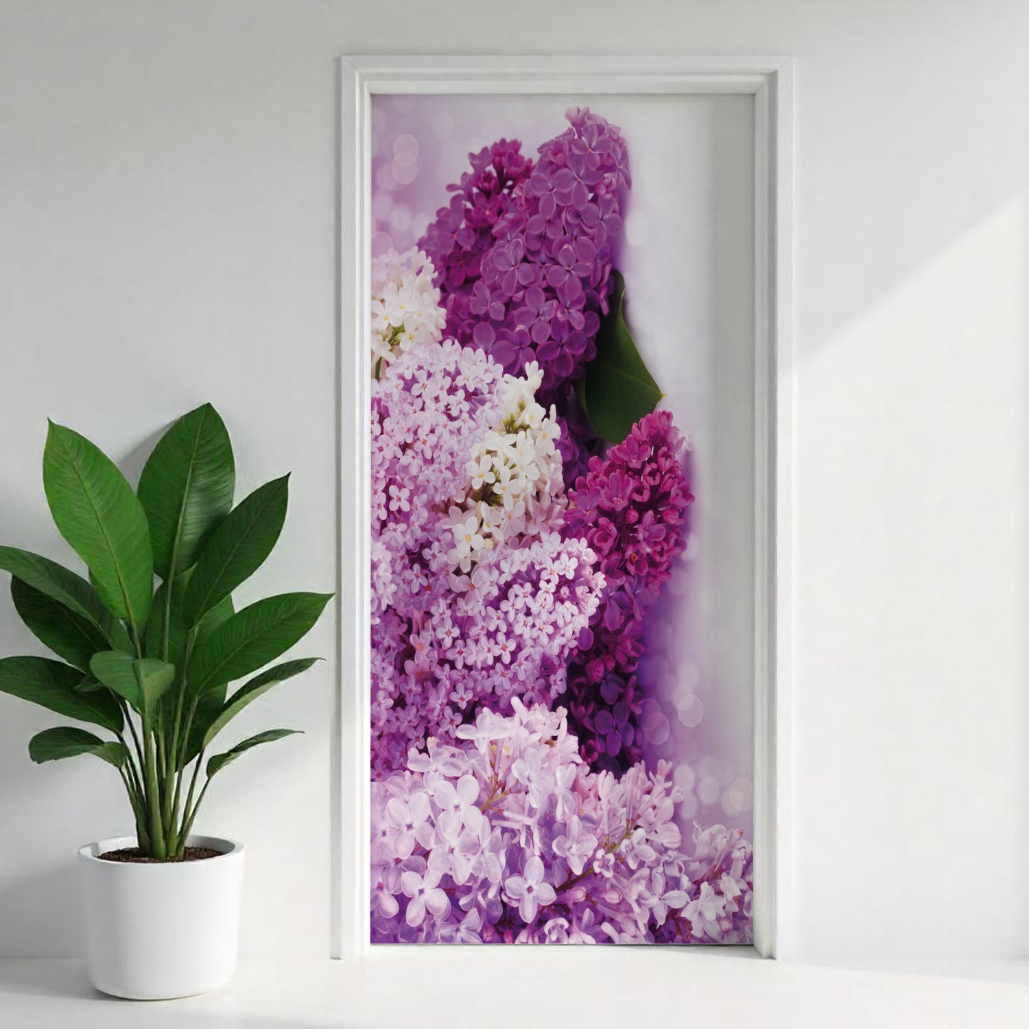 Türfolie Selbstklebend nach maß