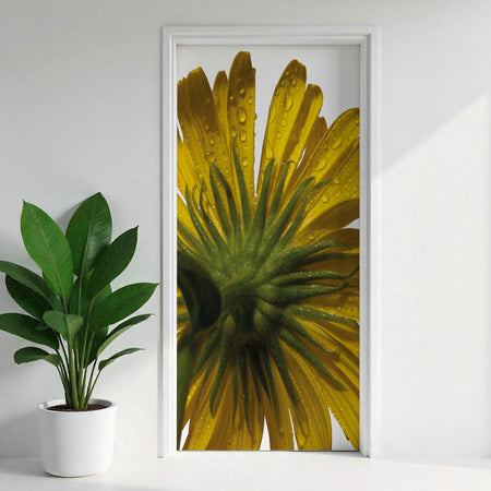 Türfolie Selbstklebend nach maß