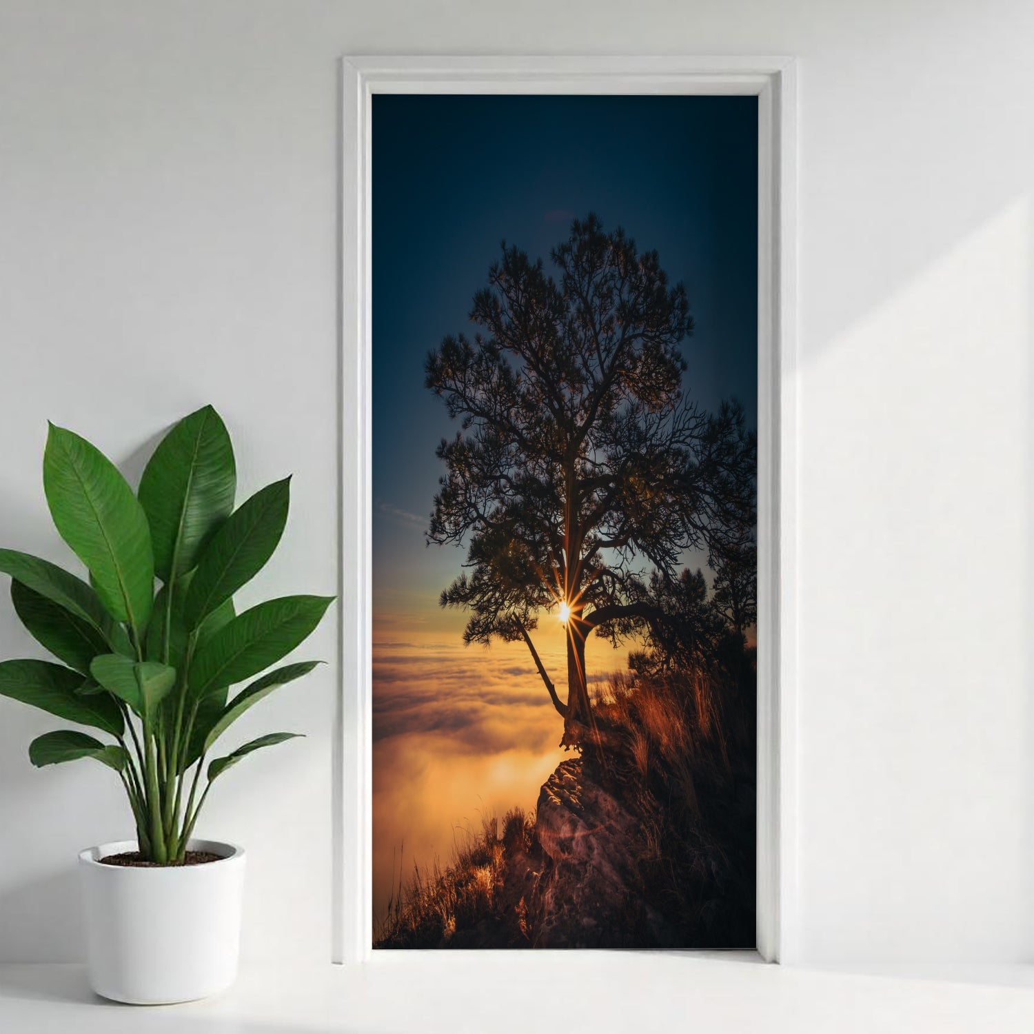 Türfolie Selbstklebend nach maß