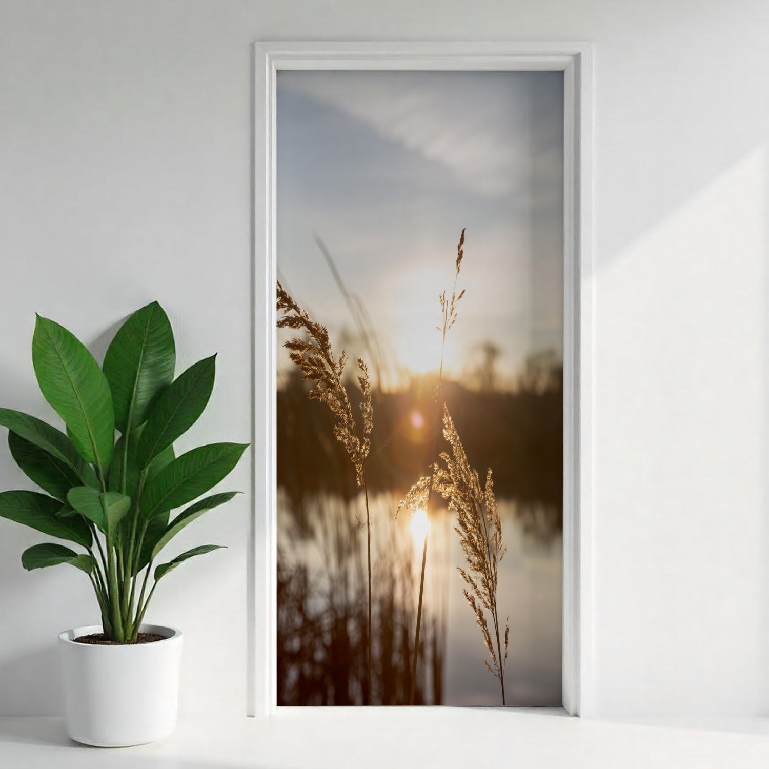 Türfolie Selbstklebend nach maß