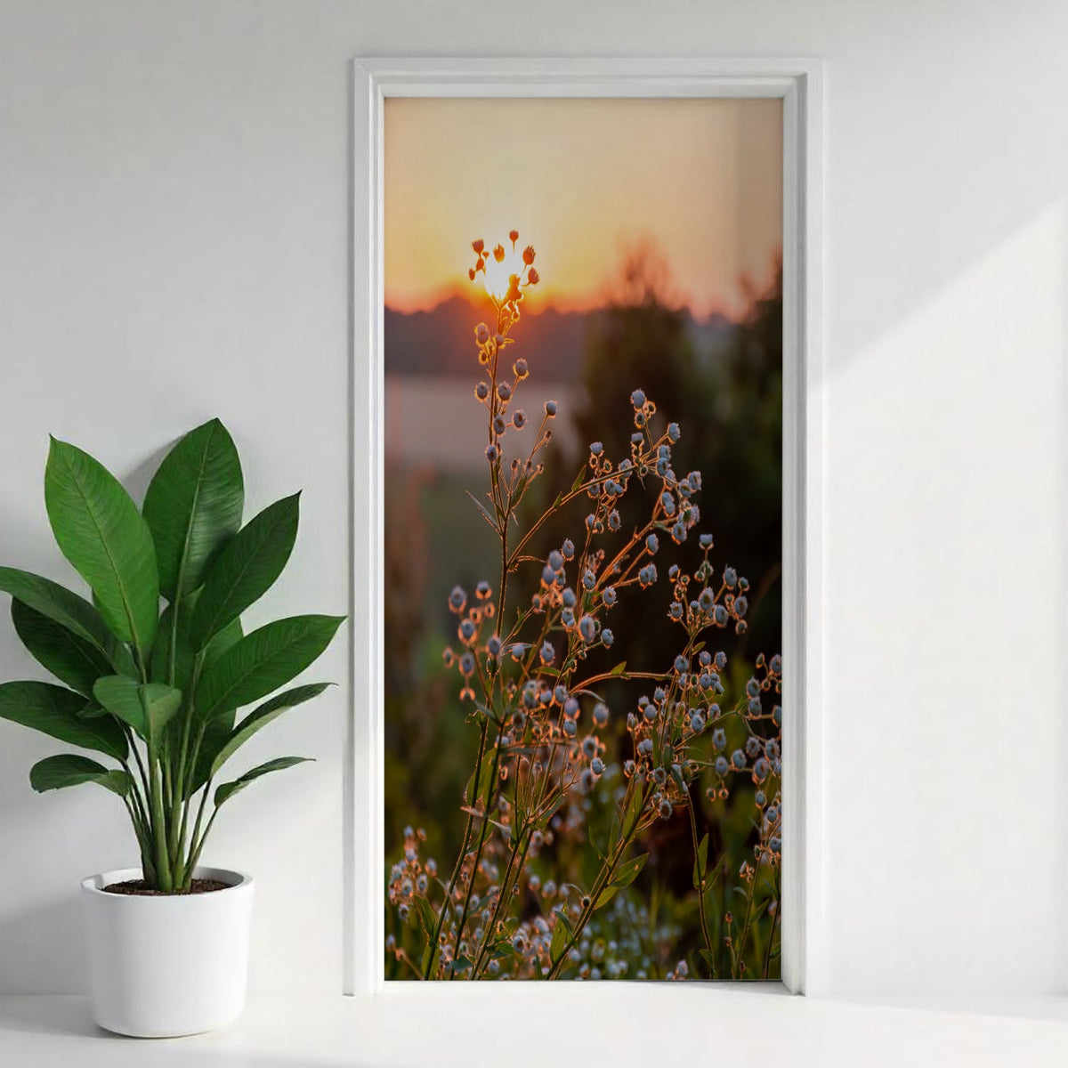 Türfolie Selbstklebend nach maß