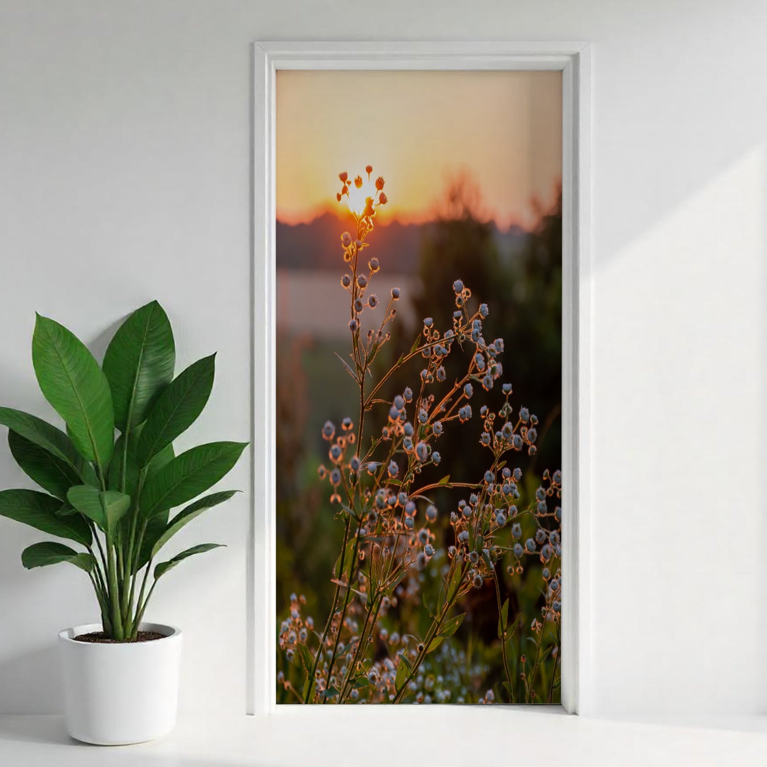 Türfolie Selbstklebend nach maß