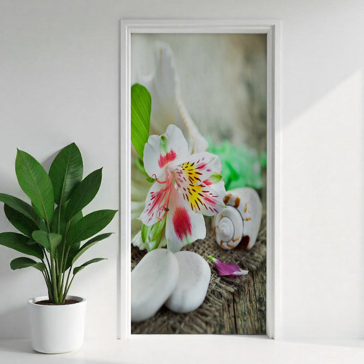 Türfolie Selbstklebend nach maß