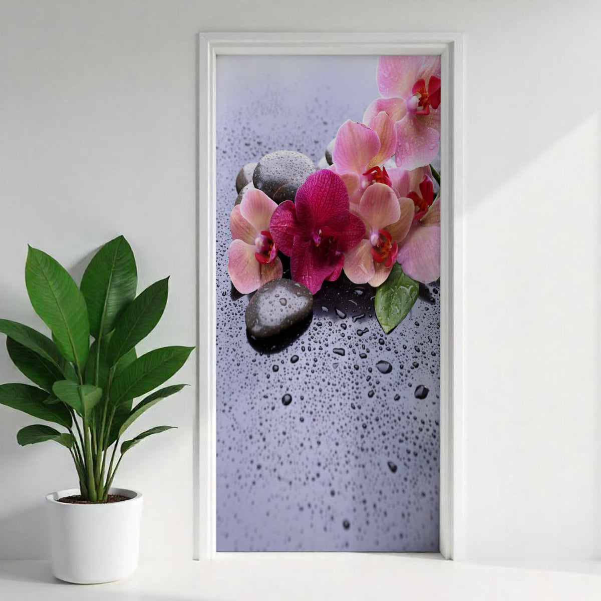 Türfolie Selbstklebend nach maß