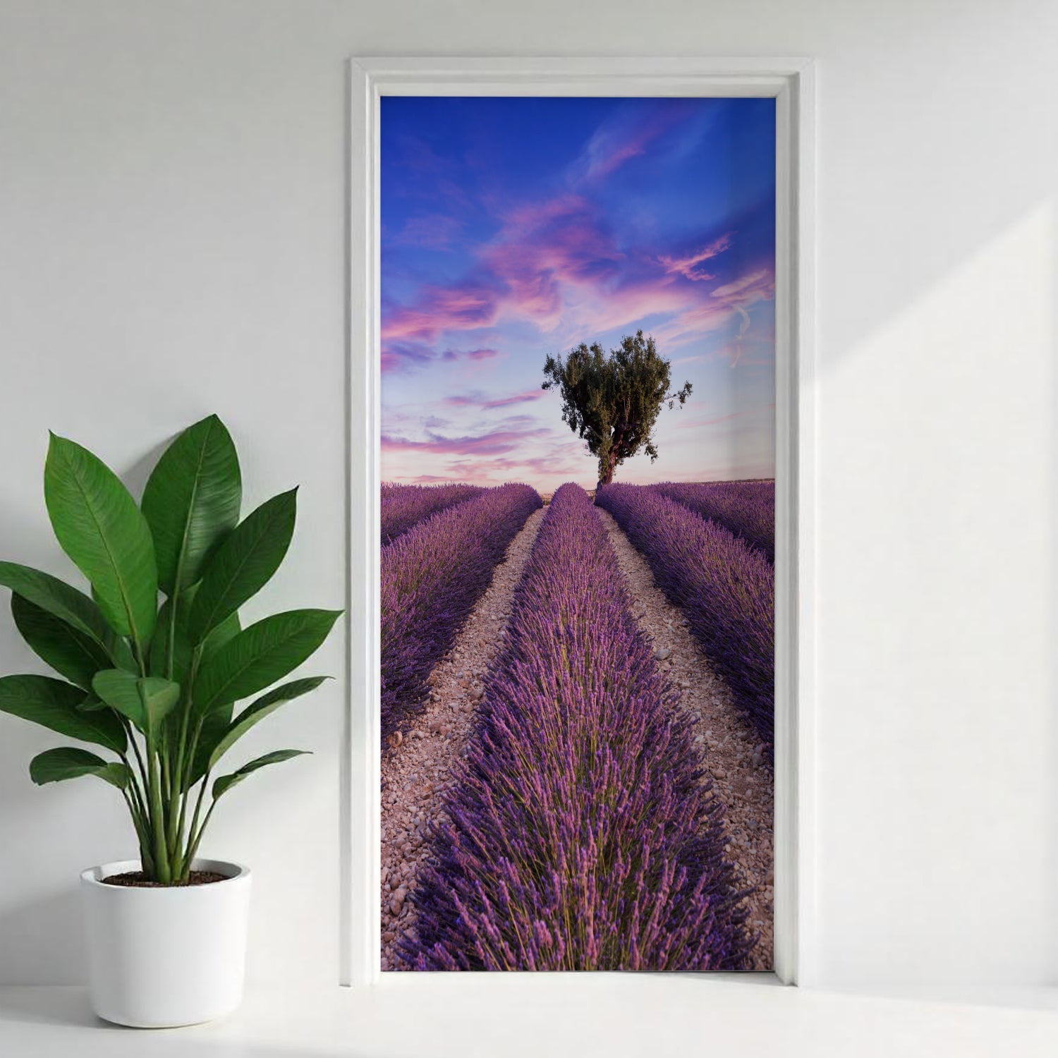 Türfolie Selbstklebend nach maß