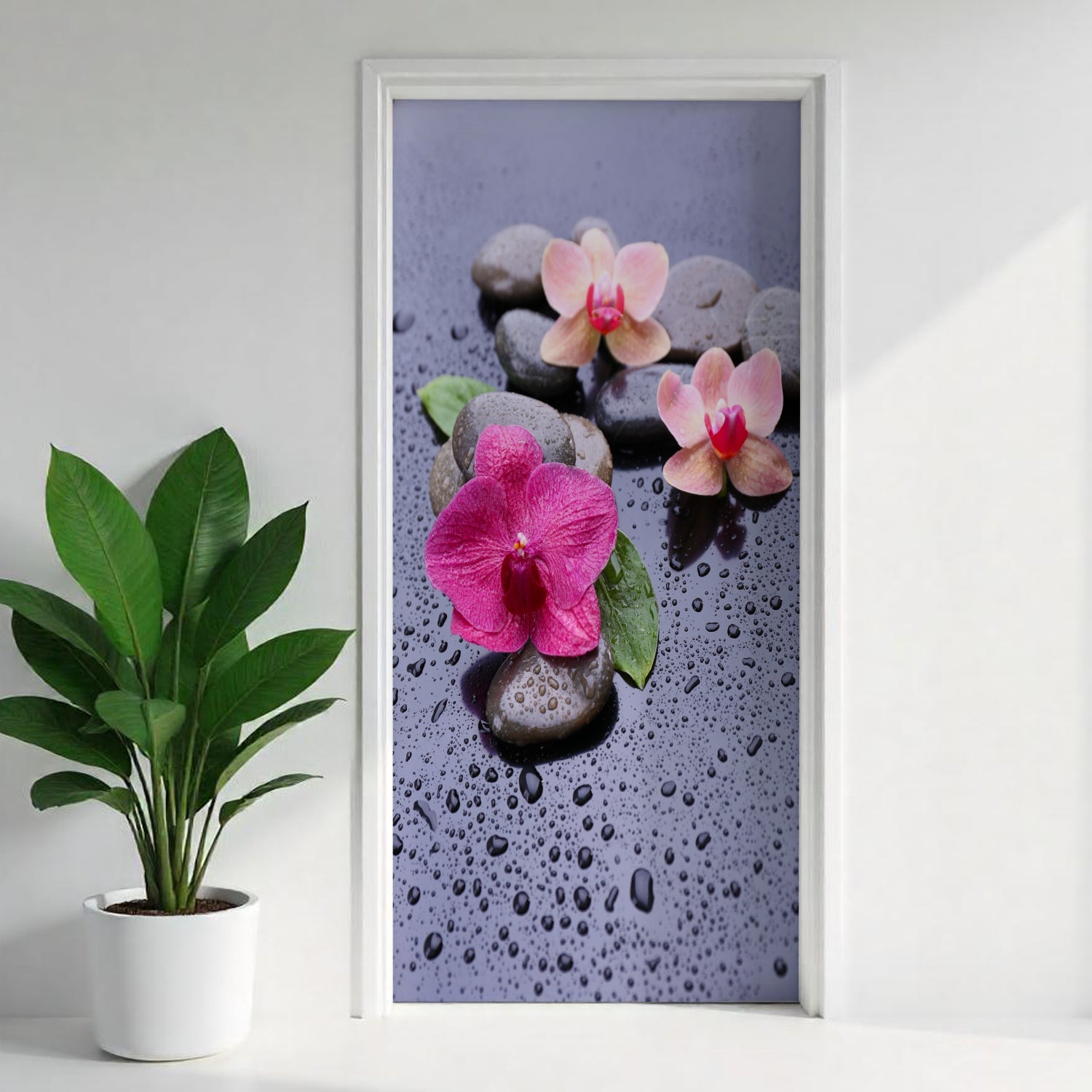 Türfolie Selbstklebend nach maß