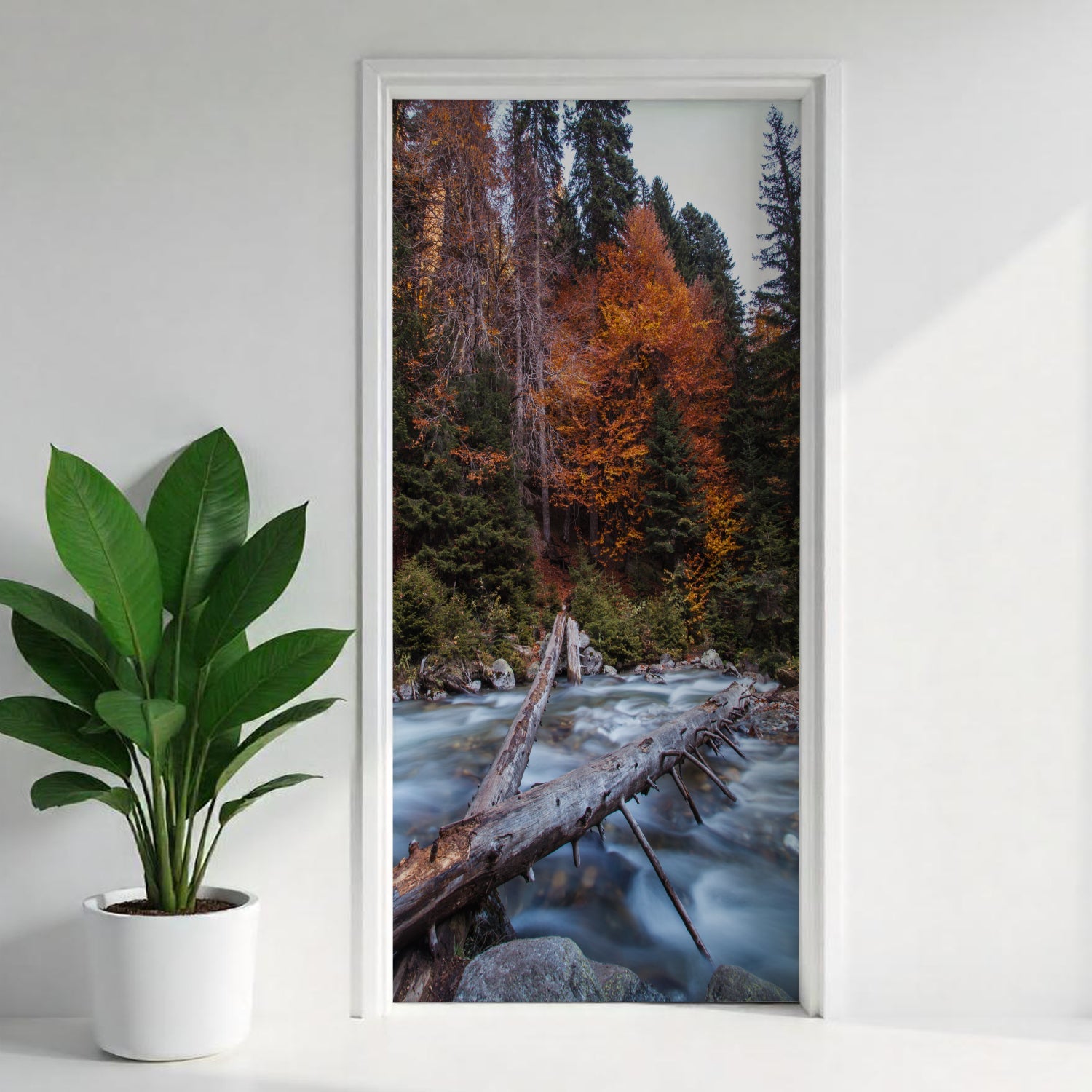 Türfolie Selbstklebend nach maß