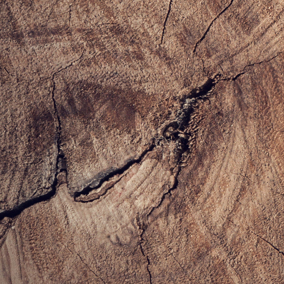 Küchenrückwand Holzoptik