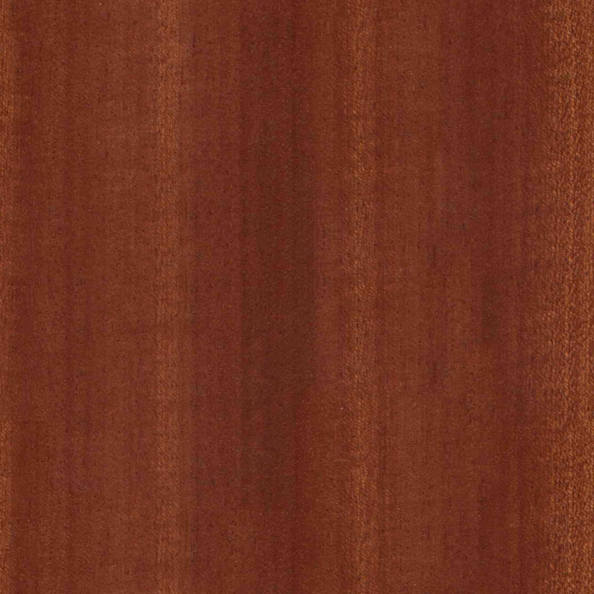 Toilettenrückwand Holzoptik