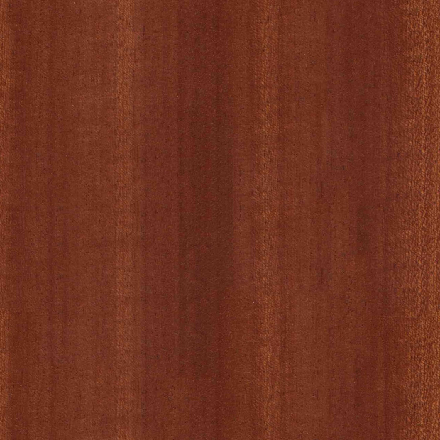 Toilettenrückwand Holzoptik