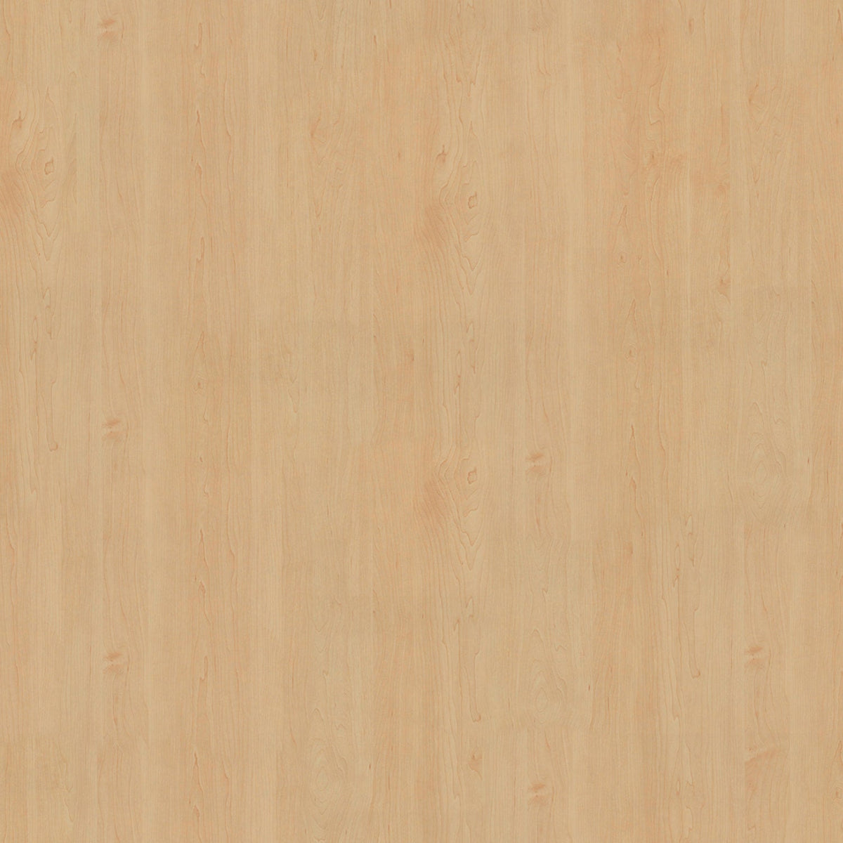 Toilettenrückwand Holzoptik