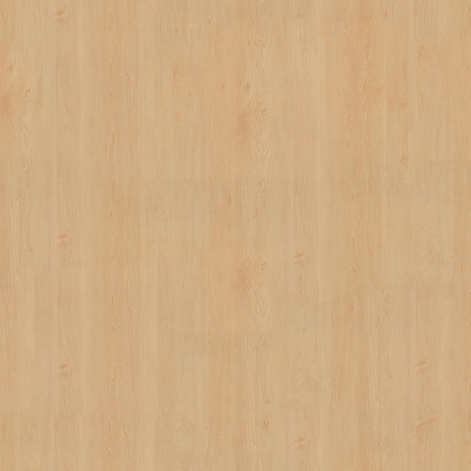 Toilettenrückwand Holzoptik