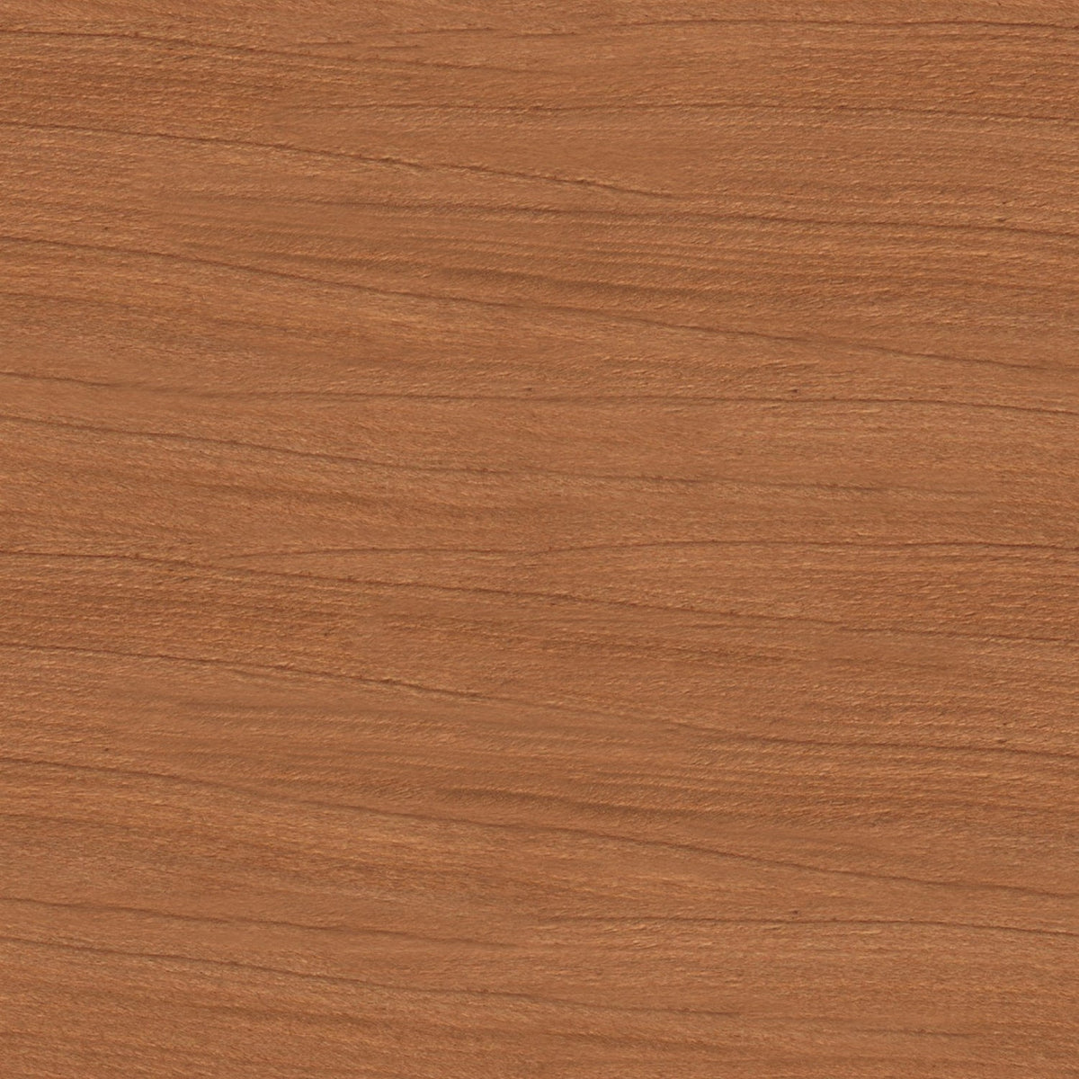 Toilettenrückwand Holzoptik