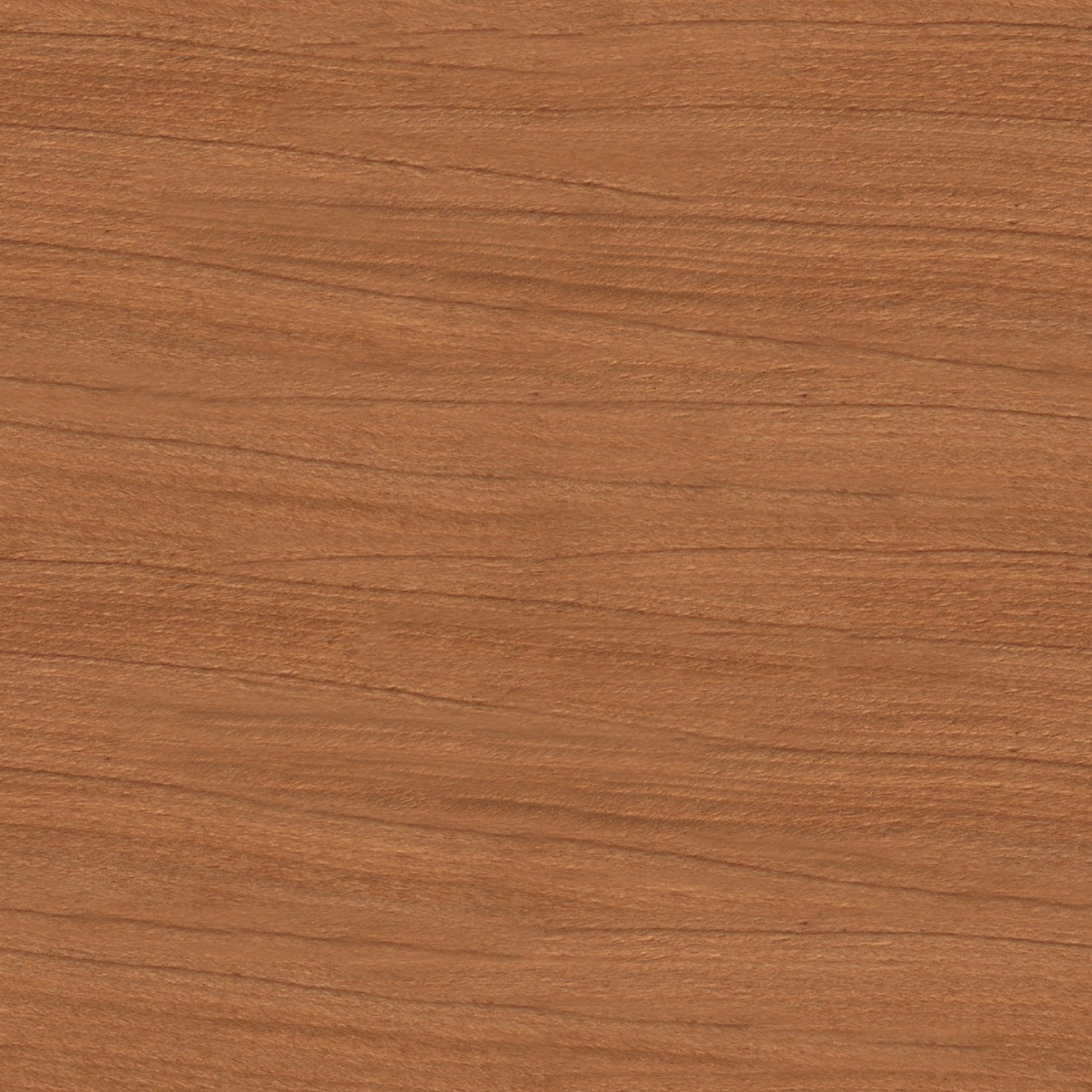 Toilettenrückwand Holzoptik