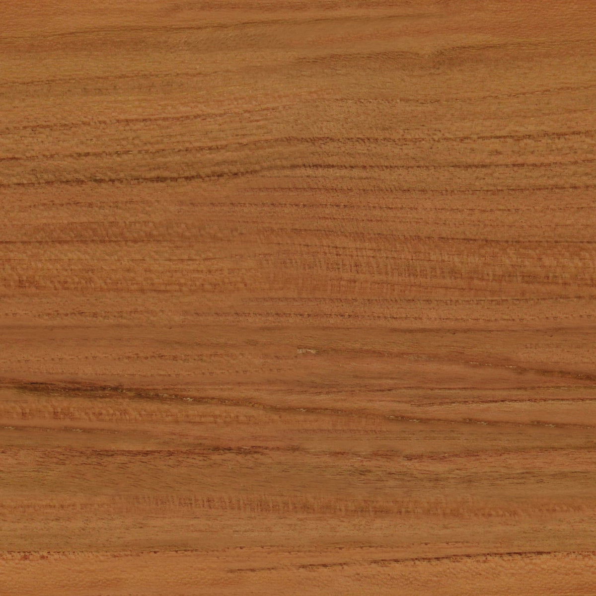 Toilettenrückwand Holzoptik