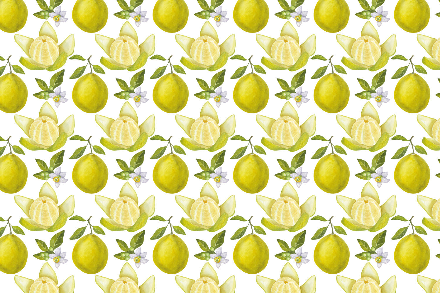 Spritzschutz Küche Muster