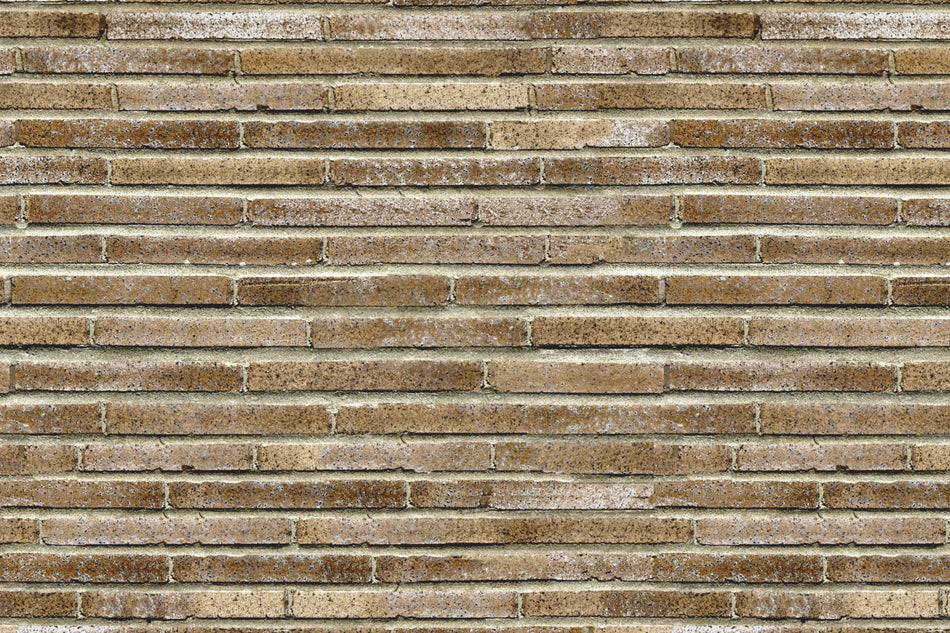 Küchenrückwand Steinoptik