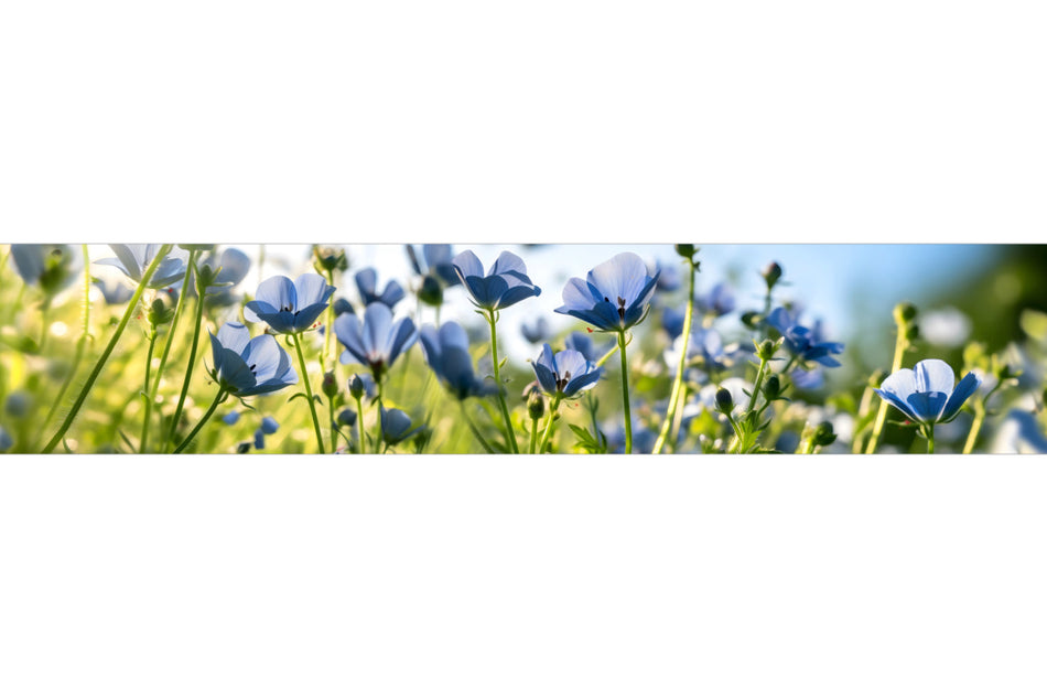 Küchenrückwand Blaue Blumenwiese