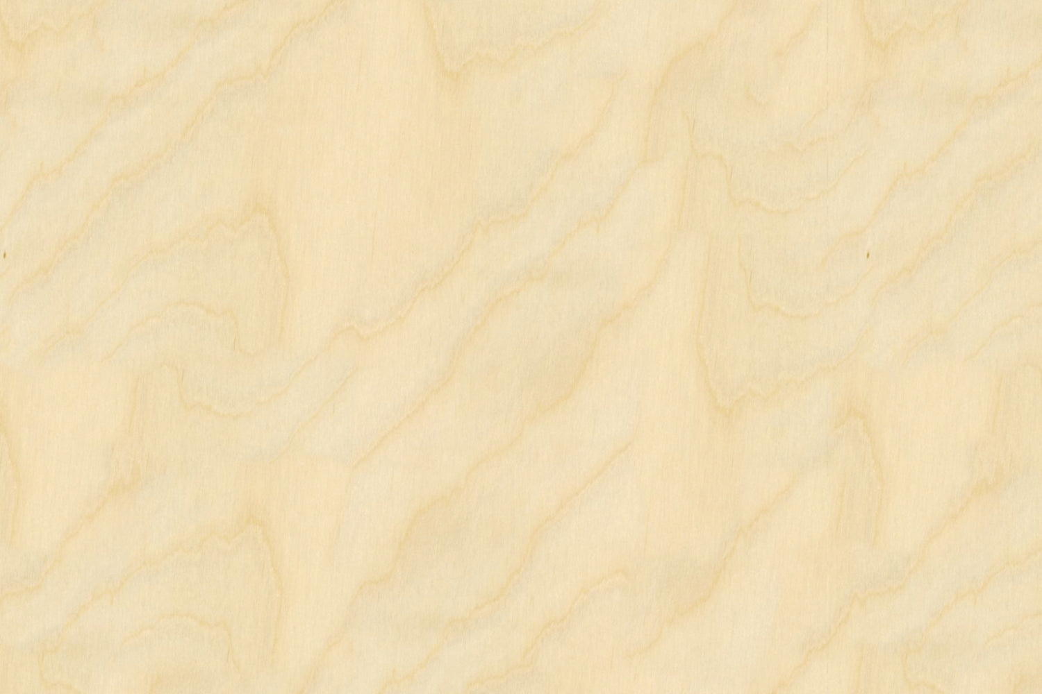 Spritzschutz Küche Holzoptik