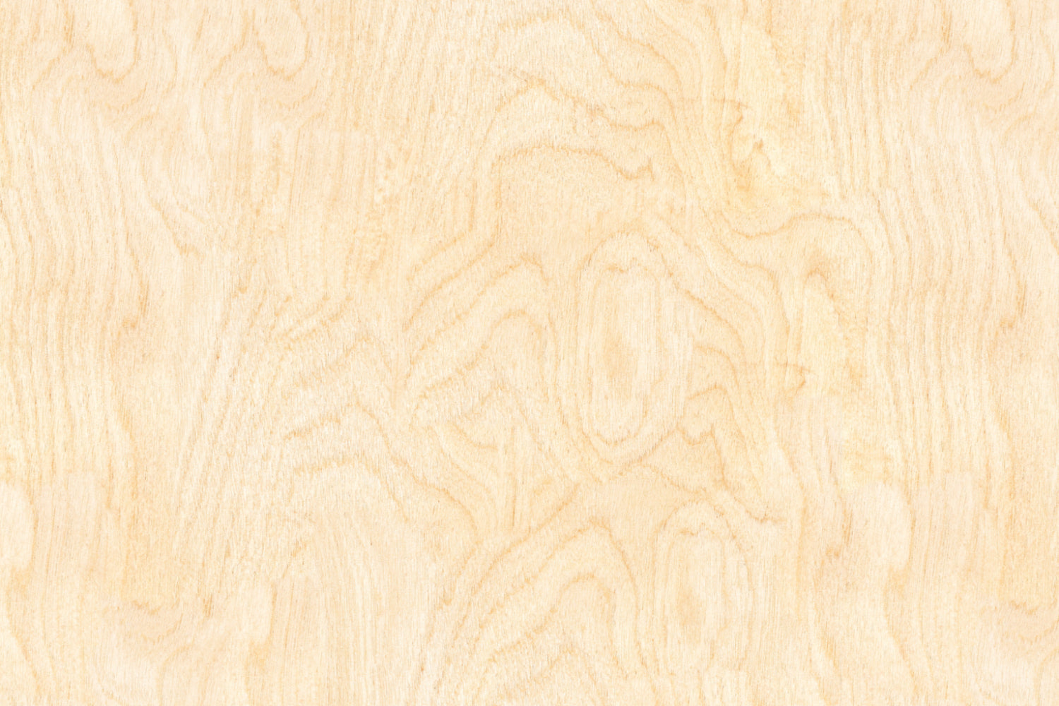 Spritzschutz Küche Holzoptik