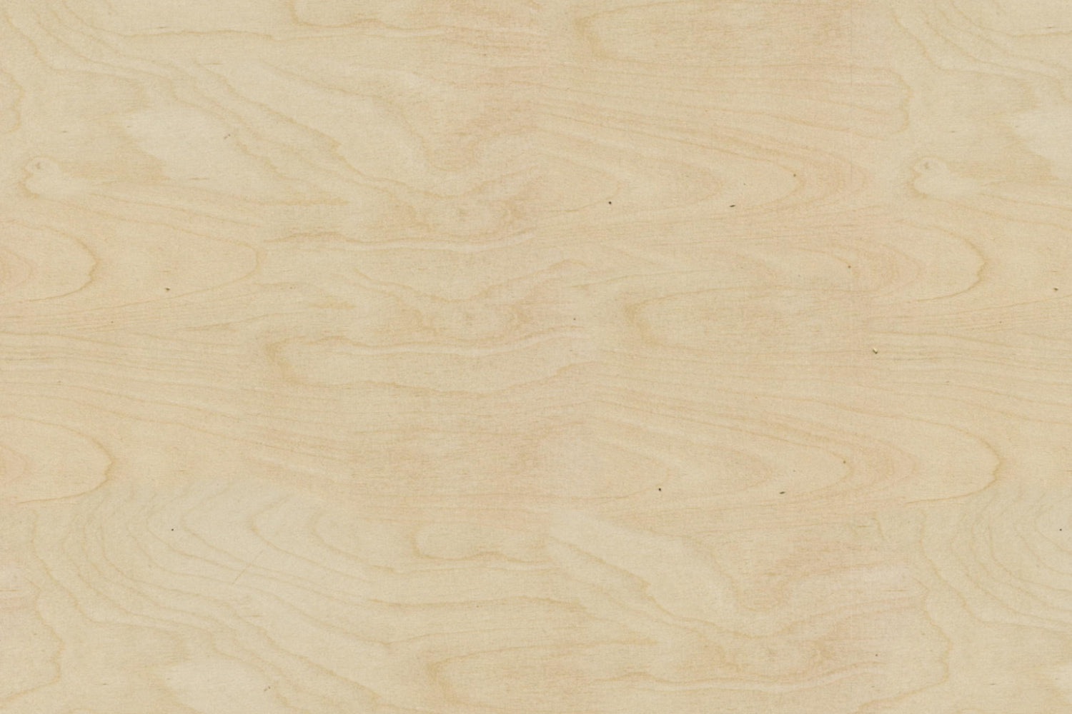 Spritzschutz Küche Holzoptik