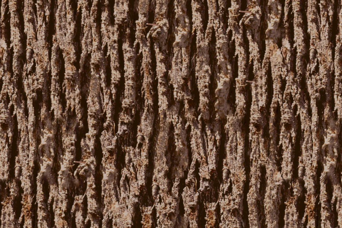 Küchenrückwand Holzoptik