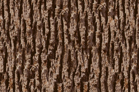 Spritzschutz Küche Holzoptik