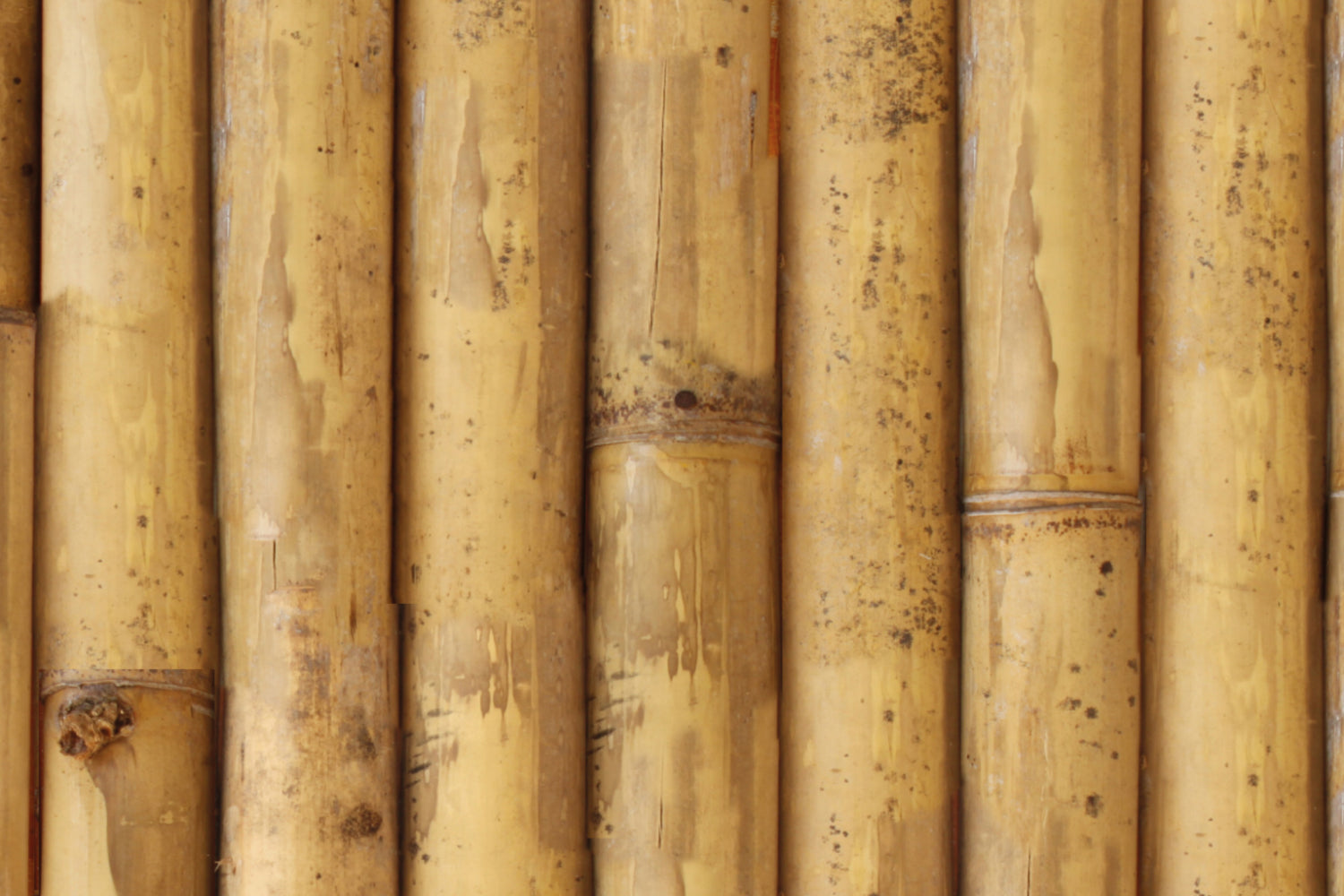 Spritzschutz Küche Holzoptik