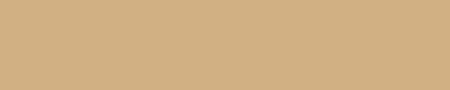 Spritzschutz Küche Einfarbig #D0B083 RAL 1001 (Beige)