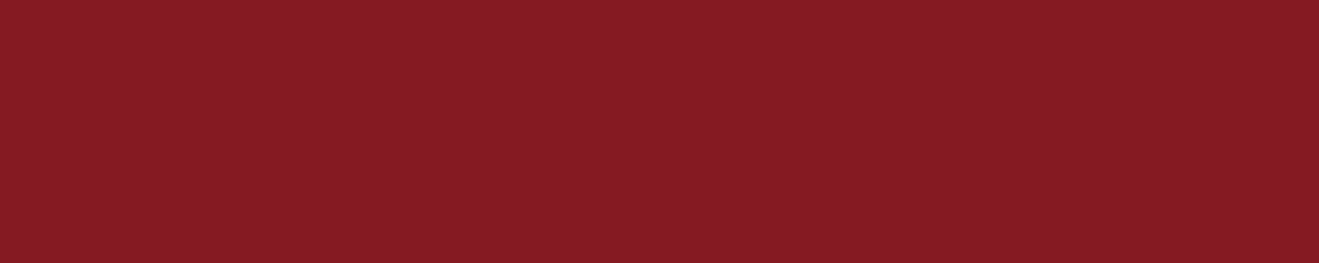 Spritzschutz Küche Einfarbig RAL 3003 Rubinrot