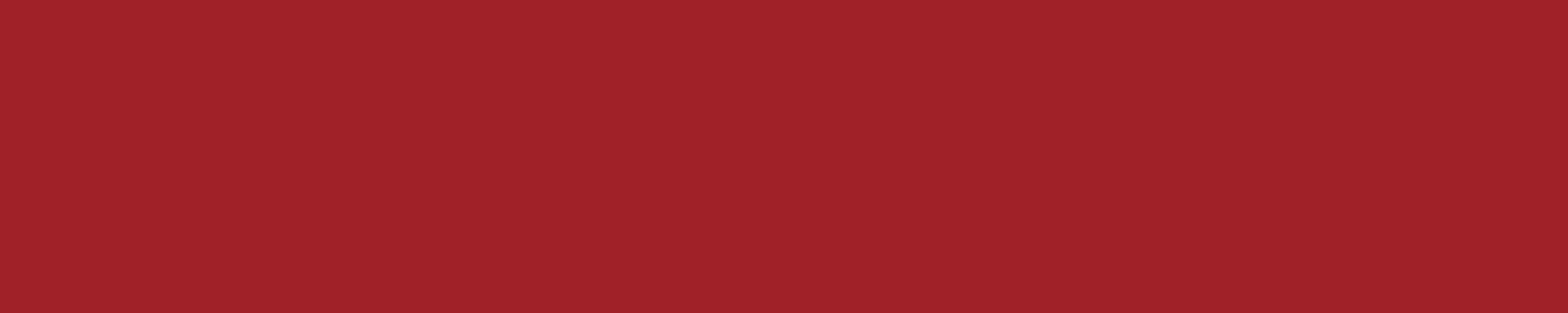 Spritzschutz Küche Einfarbig RAL 3001 Signalrot