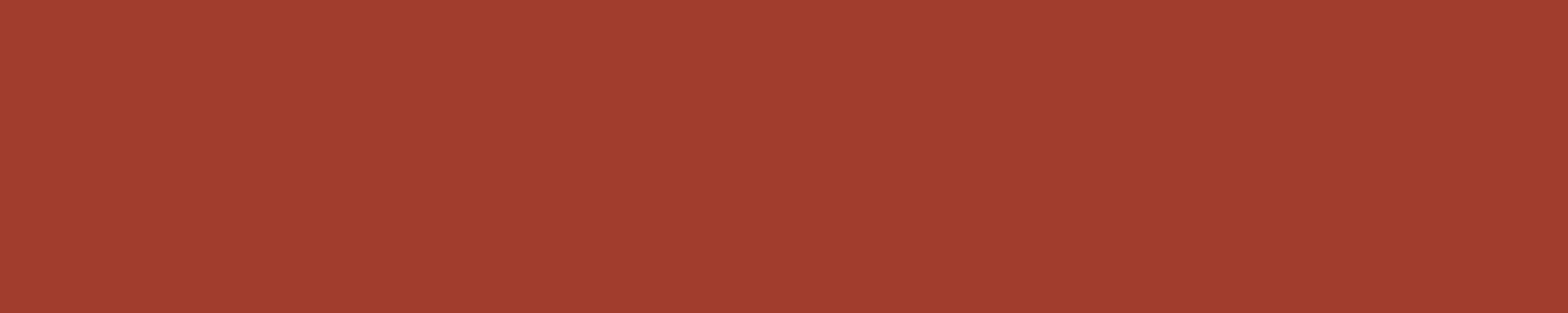 Spritzschutz Küche Einfarbig RAL 3016 Korallenrot