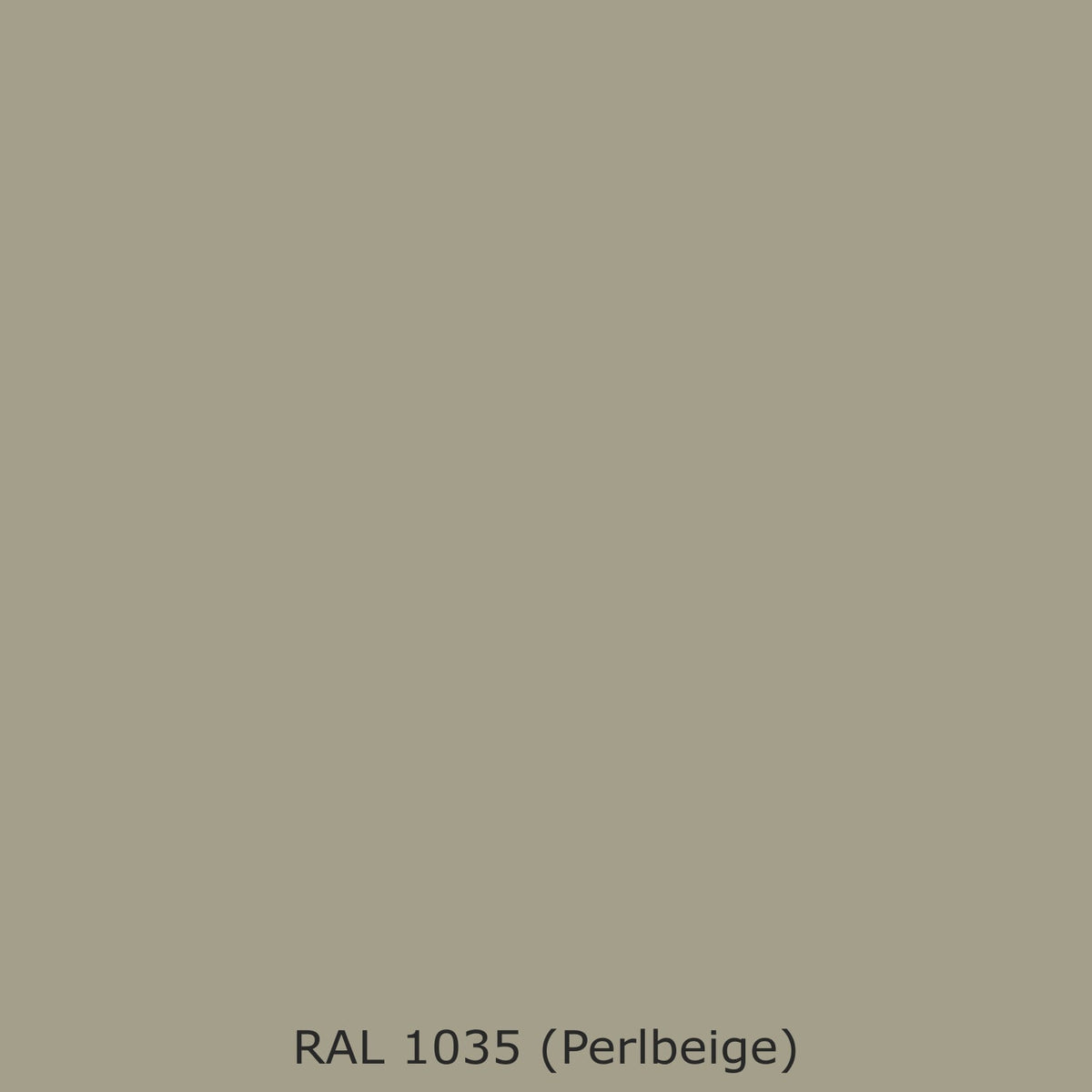 Spritzschutz Küche Einfarbig #A39F8B RAL 1035 (Perlbeige)