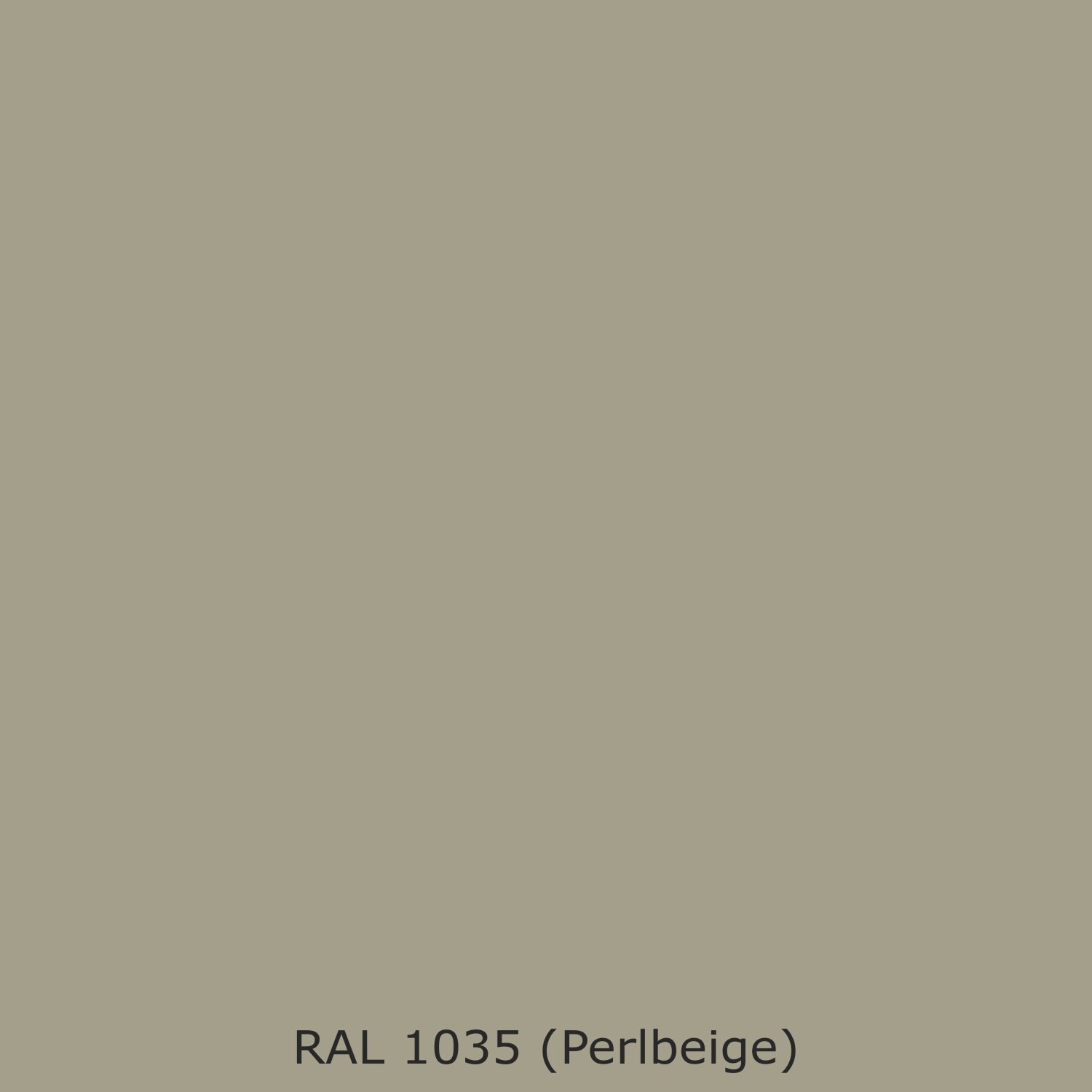 Spritzschutz Küche Einfarbig #A39F8B RAL 1035 (Perlbeige)