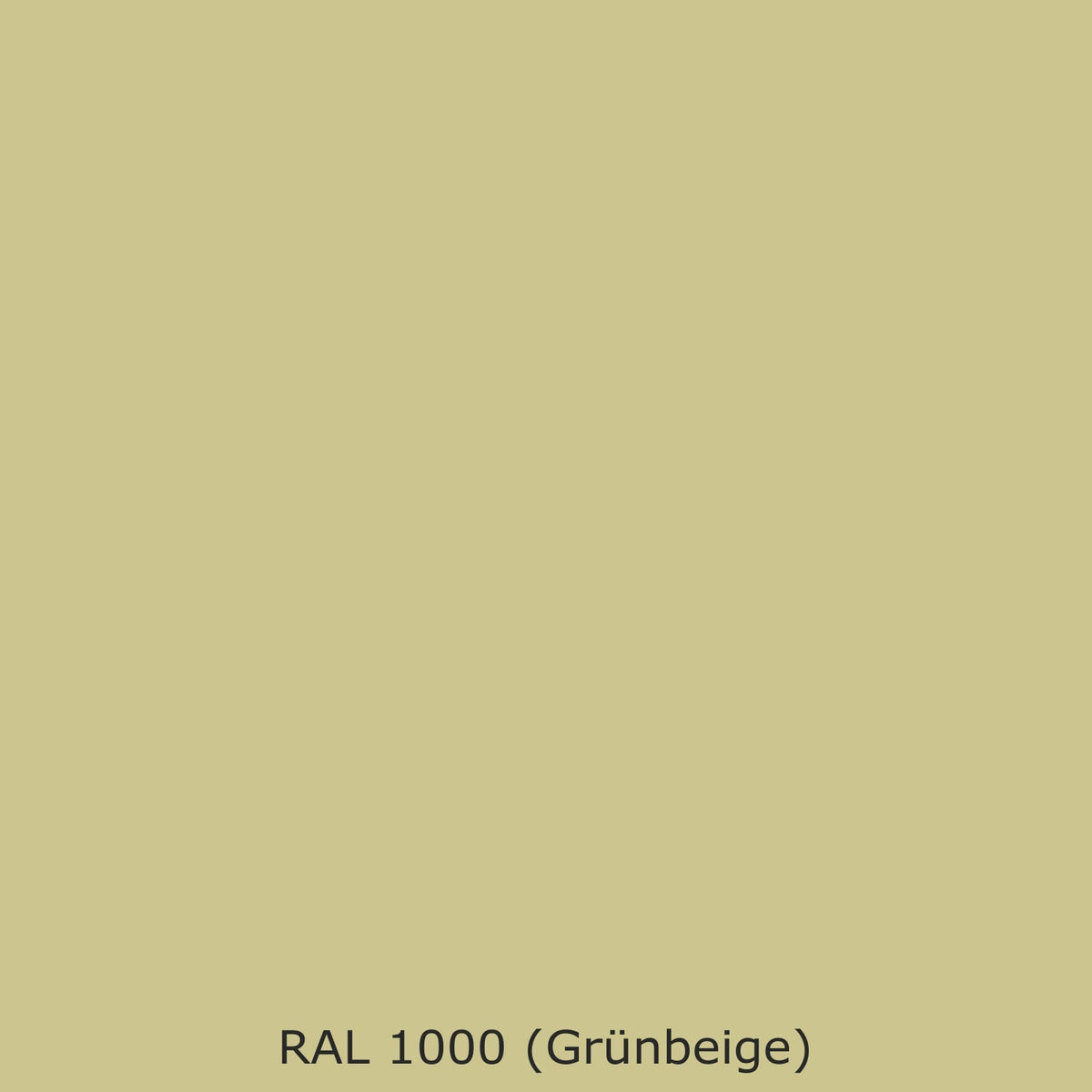 Spritzschutz Küche Einfarbig #CCC58F RAL 1000 (Grünbeige)