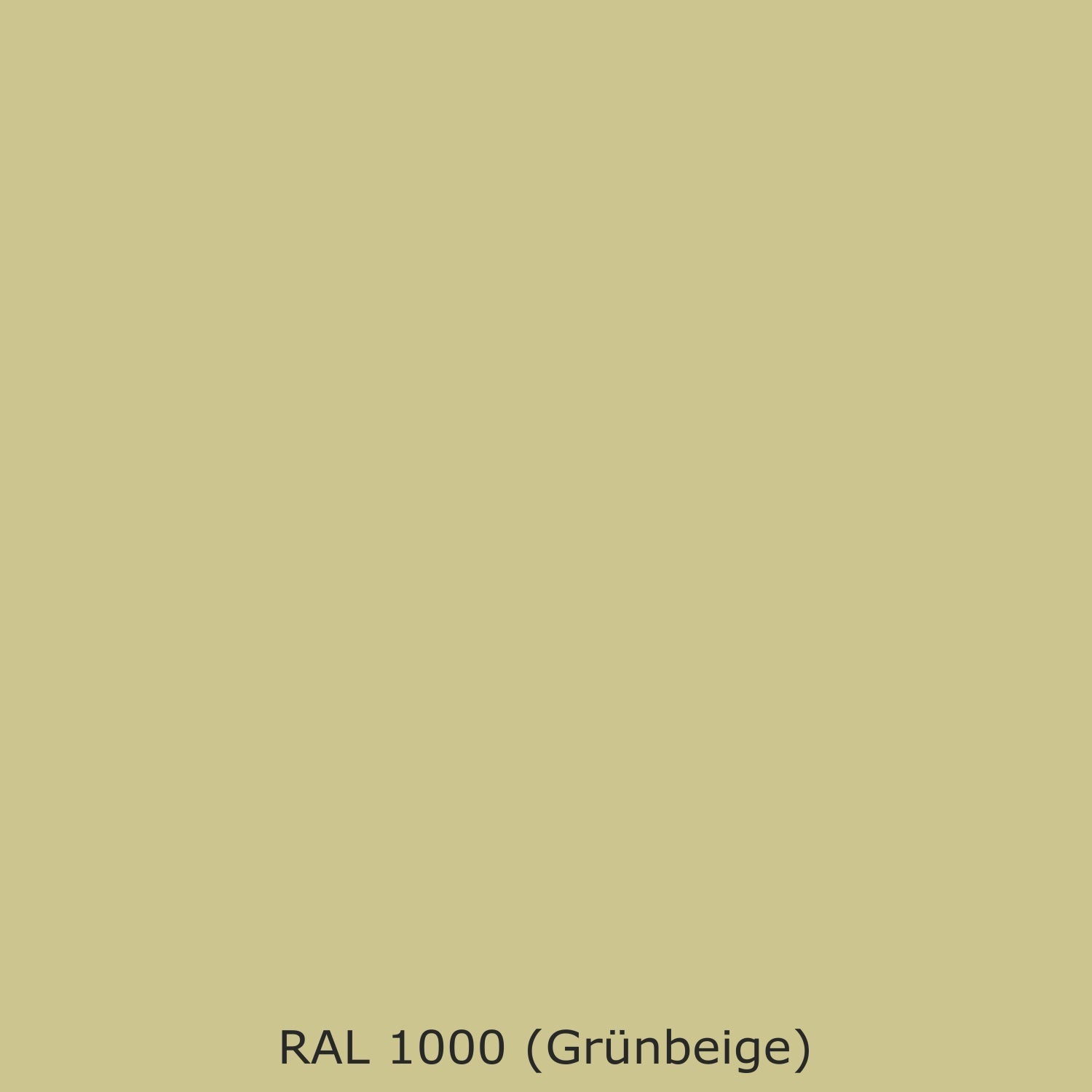 Spritzschutz Küche Einfarbig #CCC58F RAL 1000 (Grünbeige)
