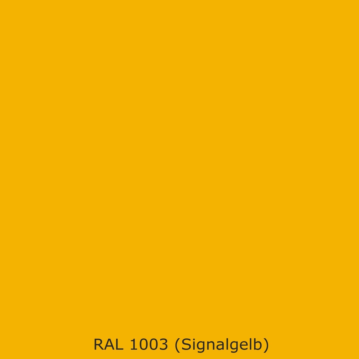 Spritzschutz Küche Einfarbig #F4B300 RAL 1003 (Signalgelb)