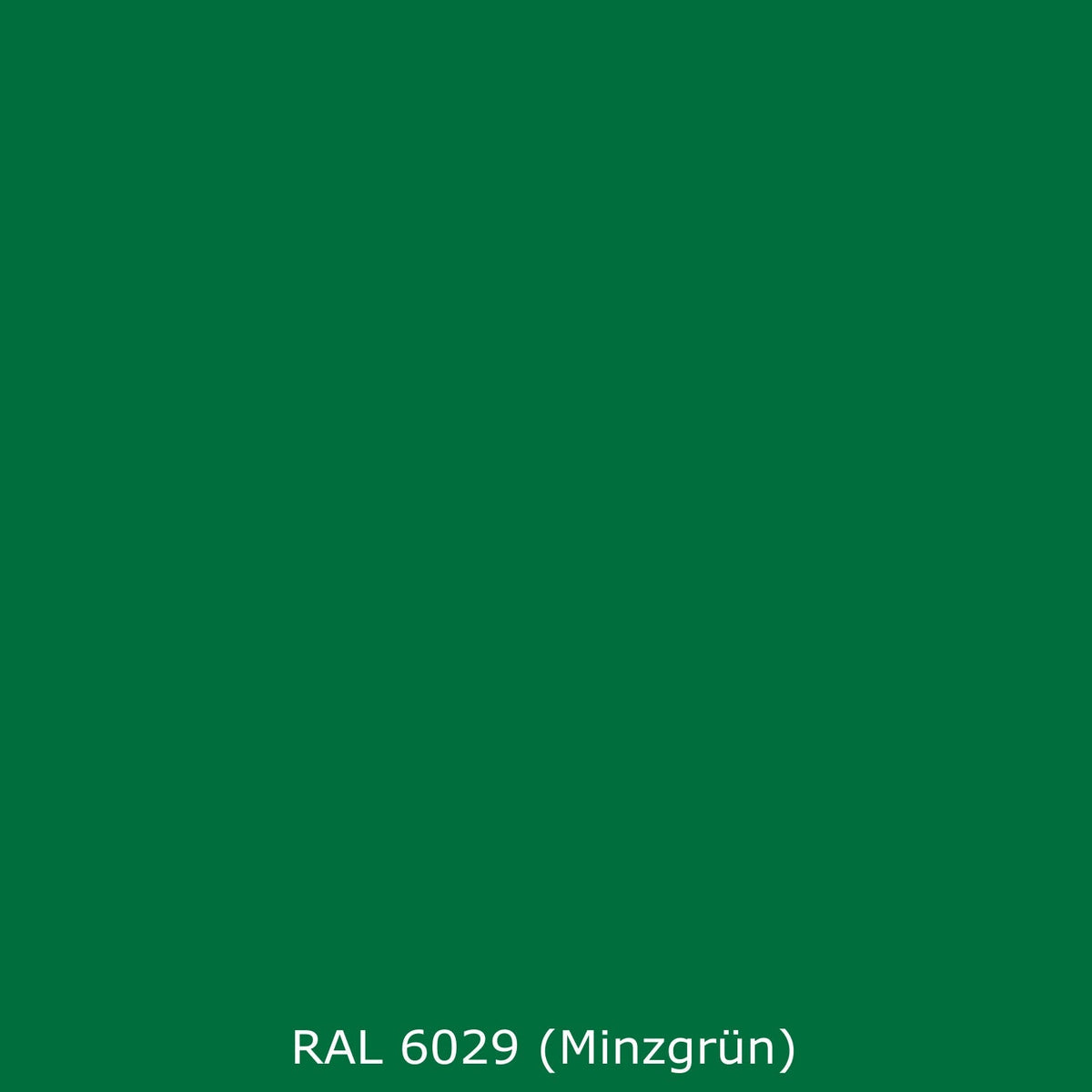 Spritzschutz Küche Einfarbig RAL 6029 (Minzgrün)