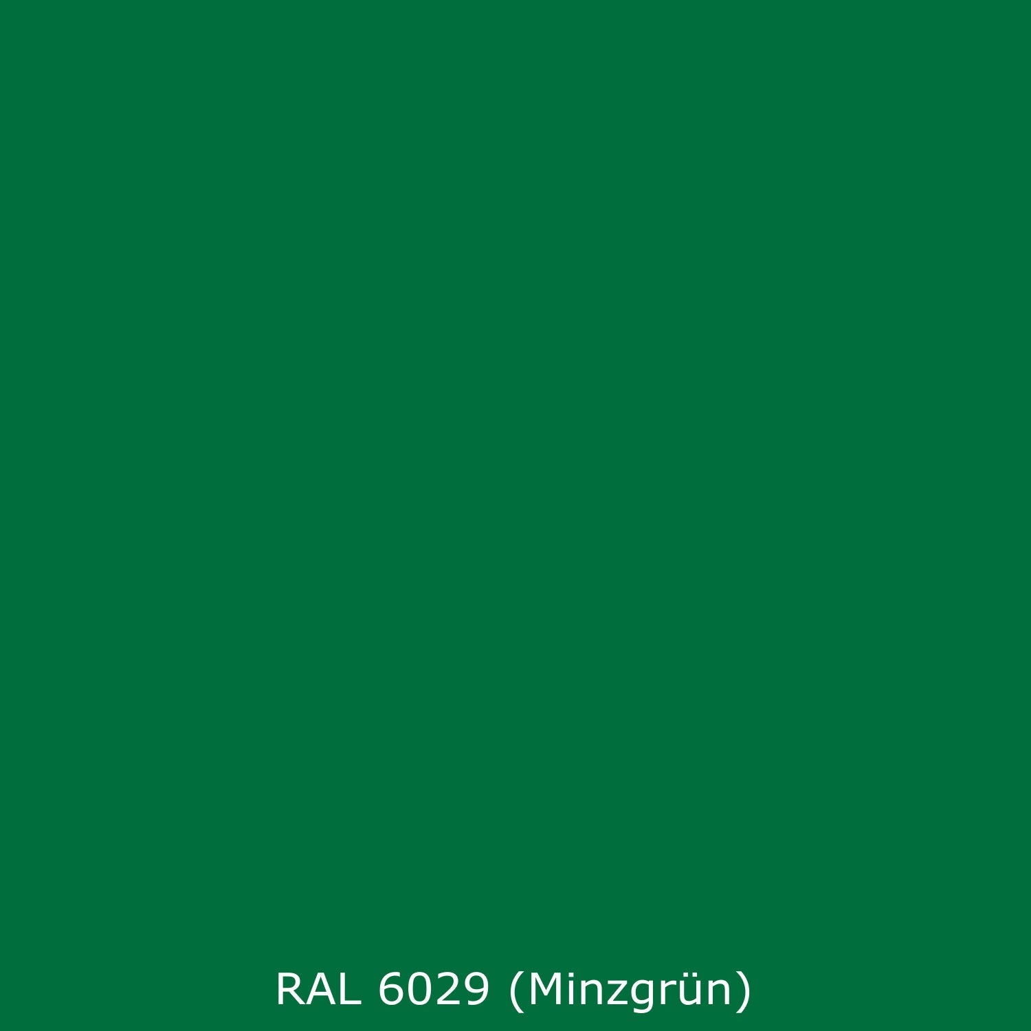 Spritzschutz Küche Einfarbig RAL 6029 (Minzgrün)