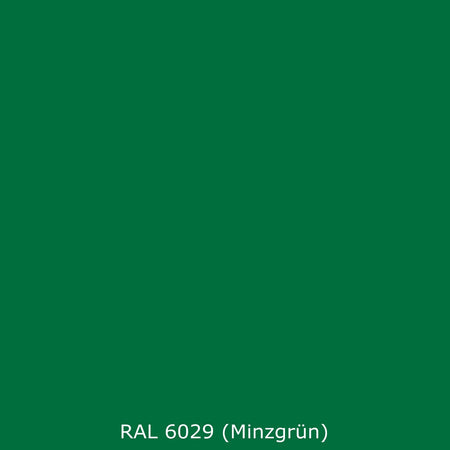 Spritzschutz Küche Einfarbig RAL 6029 (Minzgrün)