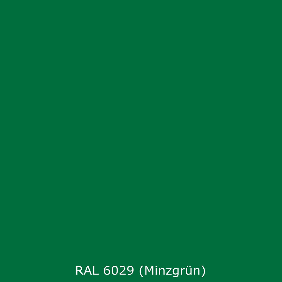 Spritzschutz Küche Einfarbig RAL 6029 (Minzgrün)
