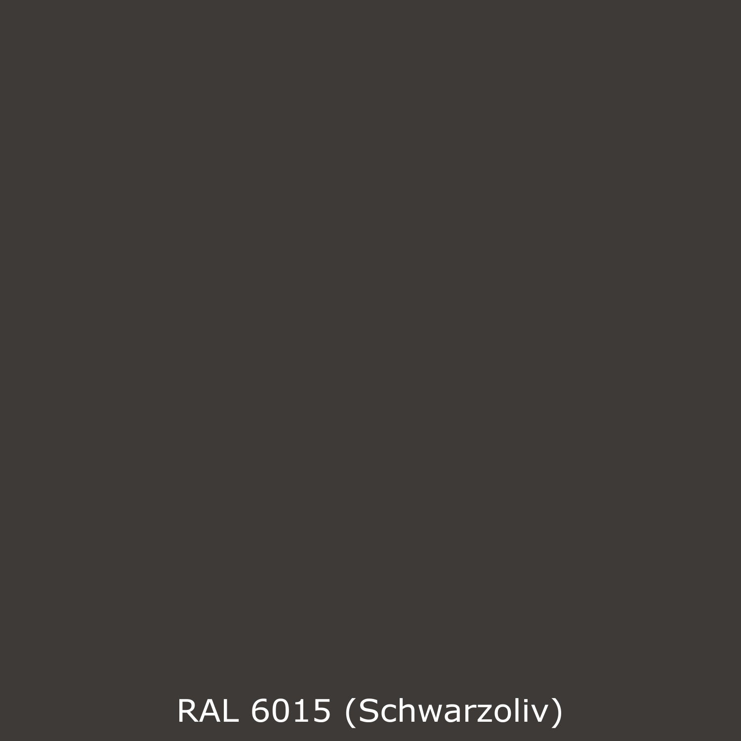 Spritzschutz Küche Einfarbig RAL 6015 Schwarzoliv