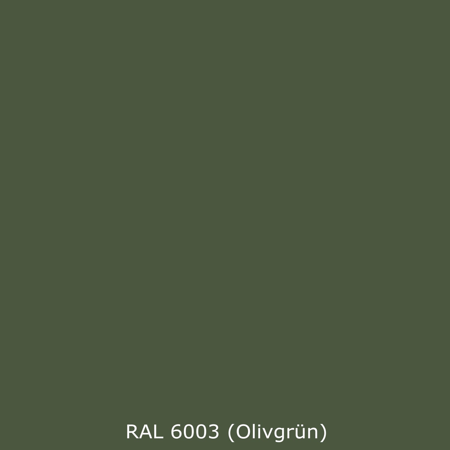 Spritzschutz Küche Einfarbig RAL 6003 Olivgrün
