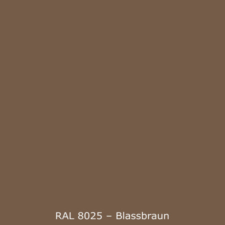 Spritzschutz Küche Einfarbig RAL 8025 Blassbraun
