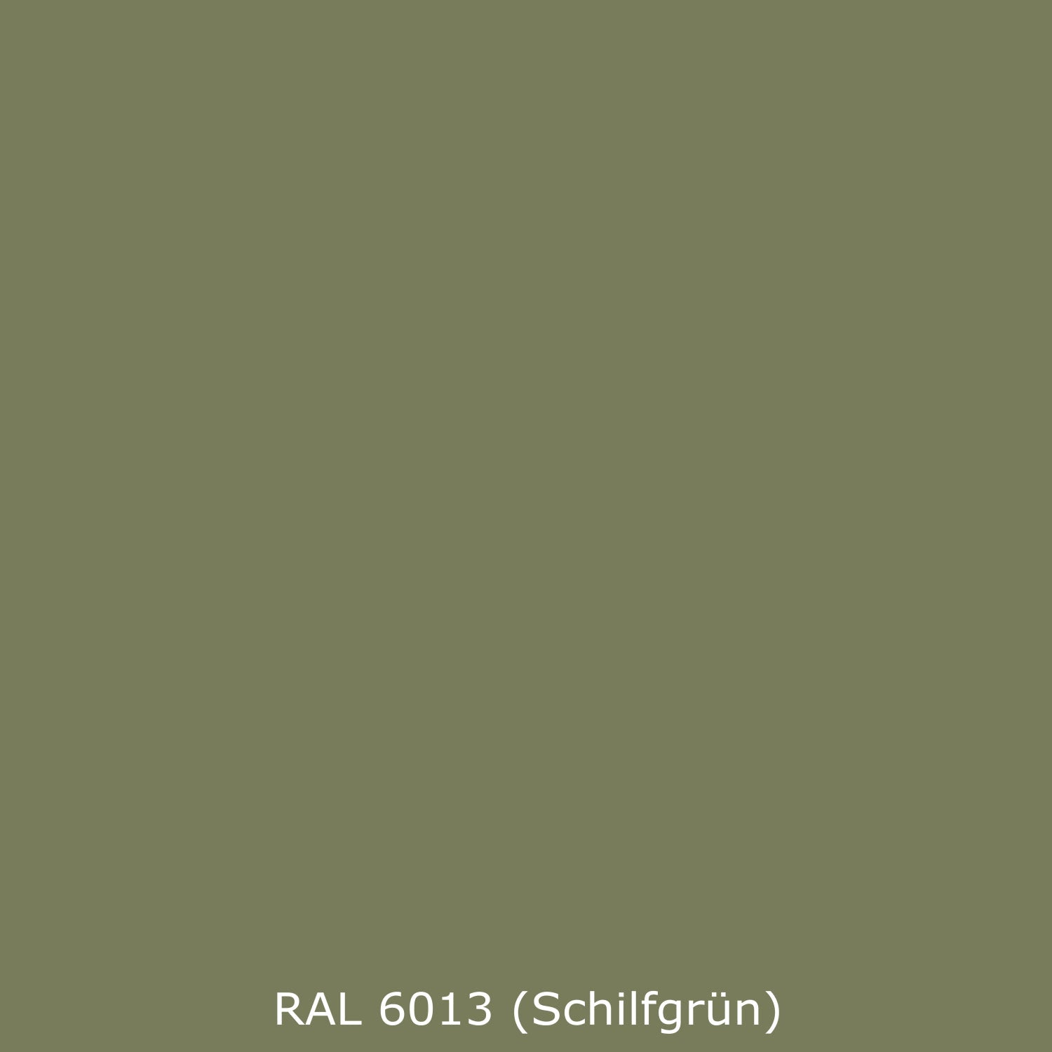 Spritzschutz Küche Einfarbig RAL 6013 Schilfgrün