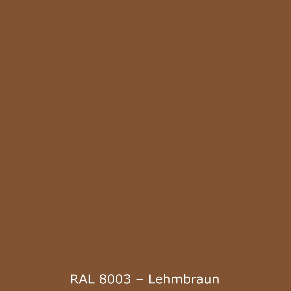 Spritzschutz Küche Einfarbig RAL 8003 Lehmbraun