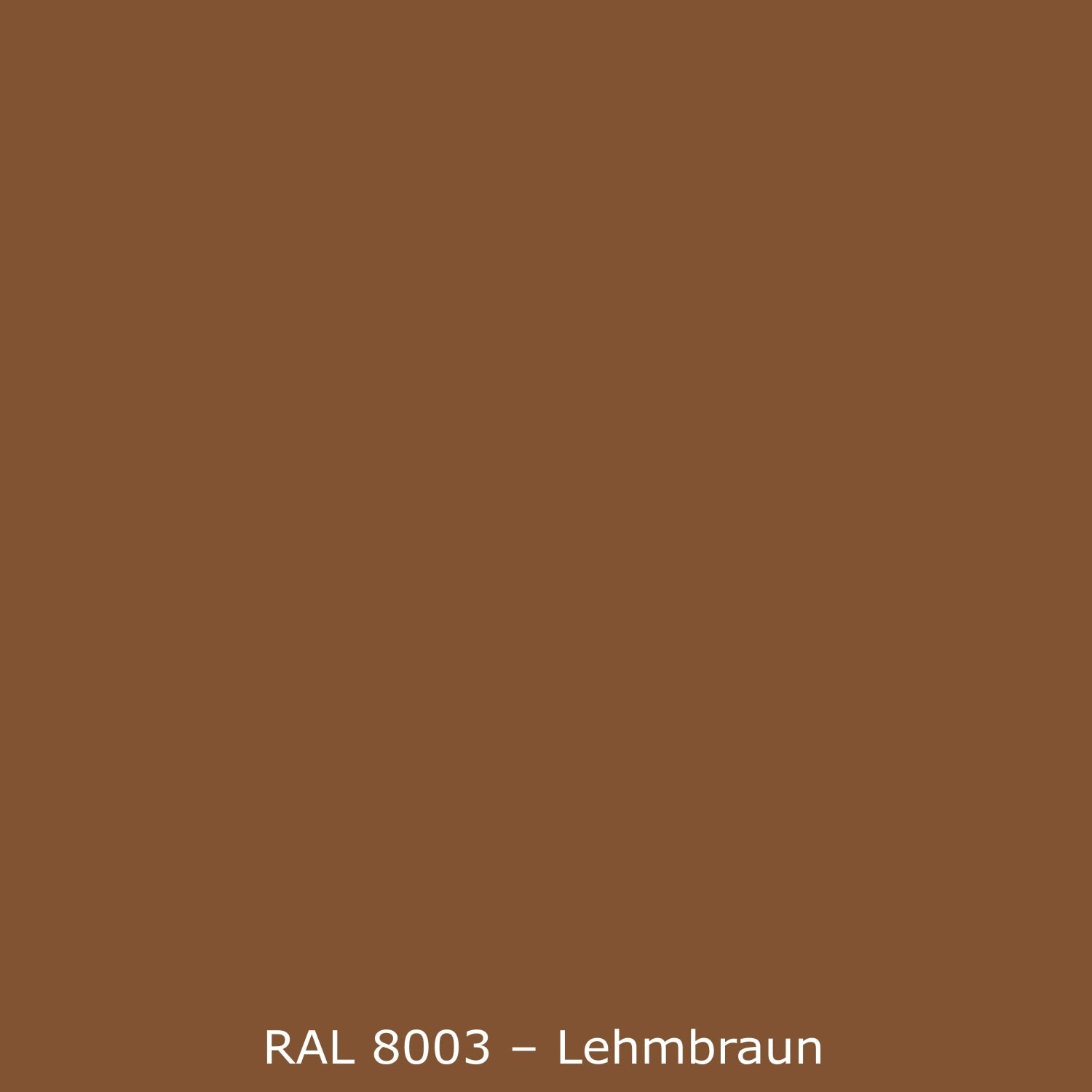 Spritzschutz Küche Einfarbig RAL 8003 Lehmbraun