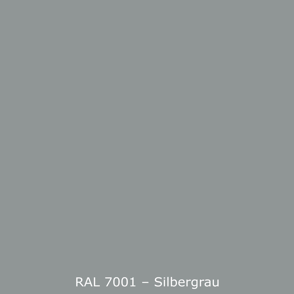 Spritzschutz Küche Einfarbig RAL 7001 Silbergrau